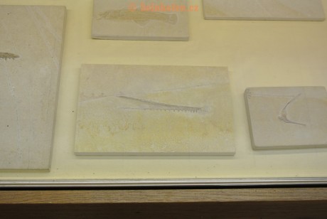 Museum-Berger-2013-0039