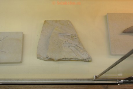 Museum-Berger-2013-0040