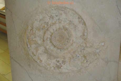Museum-Berger-2013-0041