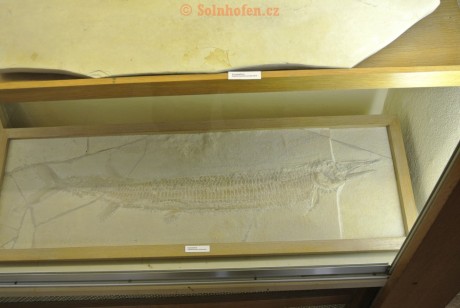 Museum-Berger-2013-0042