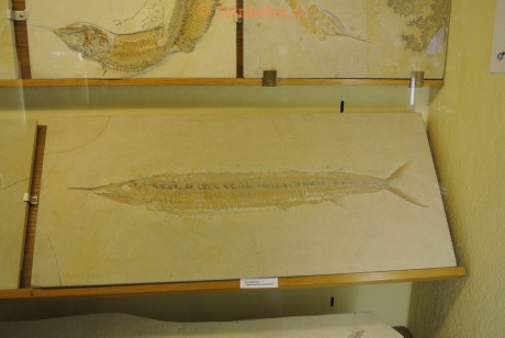 Museum-Berger-2013-0044