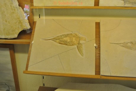 Museum-Berger-2013-0045