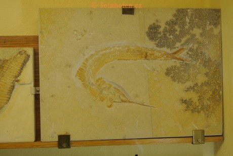 Museum-Berger-2013-0046