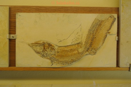 Museum-Berger-2013-0047