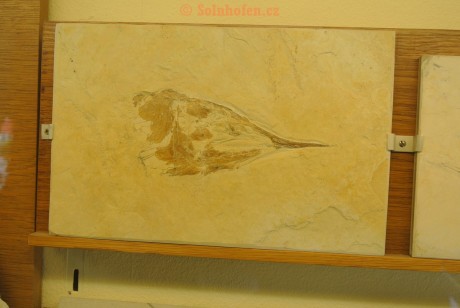 Museum-Berger-2013-0048