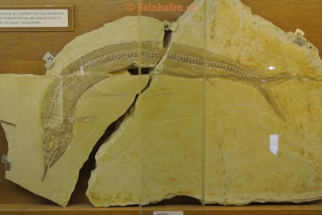 Museum-Berger-2013-0049