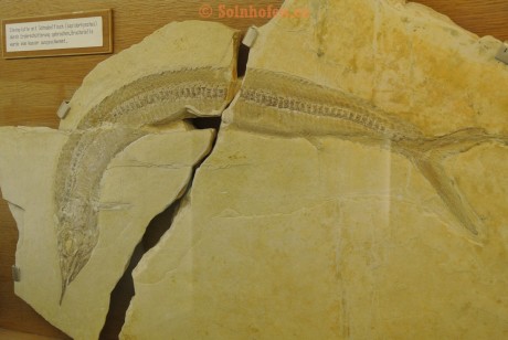 Museum-Berger-2013-0050