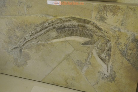 Museum-Berger-2013-0051