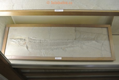 Museum-Berger-2013-0052