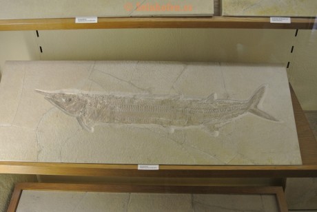 Museum-Berger-2013-0053