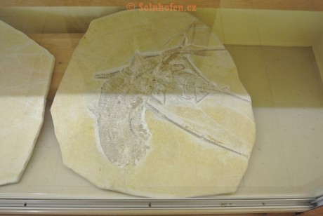 Museum-Berger-2013-0055