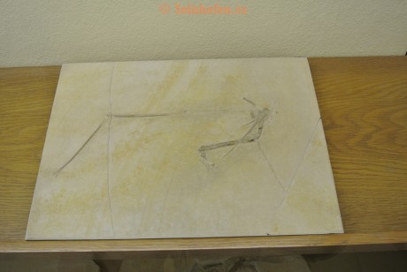 Museum-Berger-2013-0058
