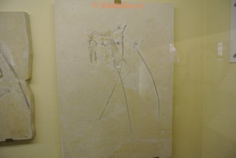 Museum-Berger-2013-0059