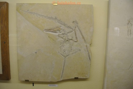 Museum-Berger-2013-0060