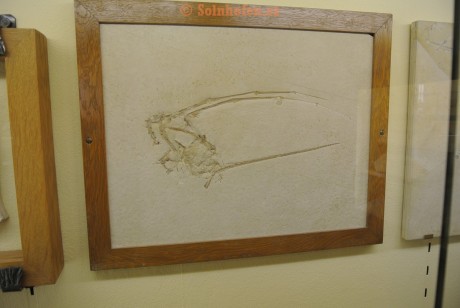 Museum-Berger-2013-0061