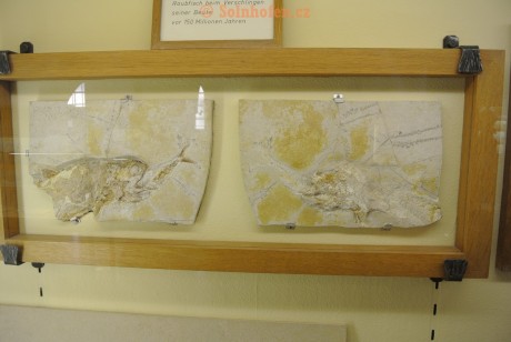 Museum-Berger-2013-0062