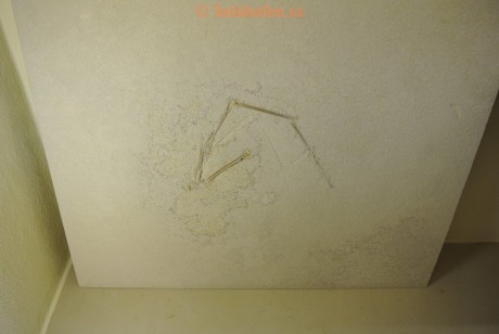 Museum-Berger-2013-0063