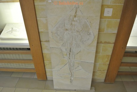 Museum-Berger-2013-0064