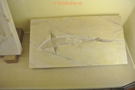 Museum-Berger-2013-0065