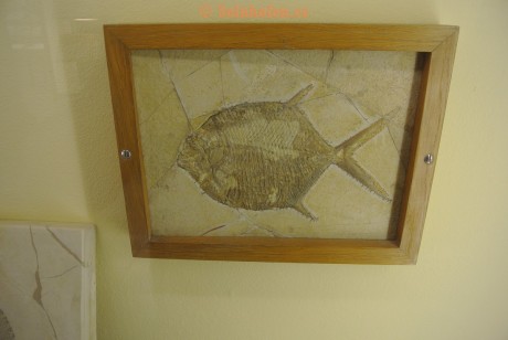 Museum-Berger-2013-0066