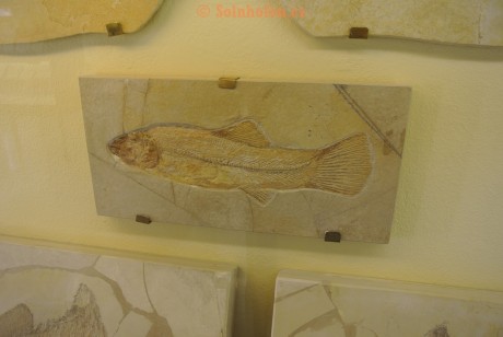 Museum-Berger-2013-0069