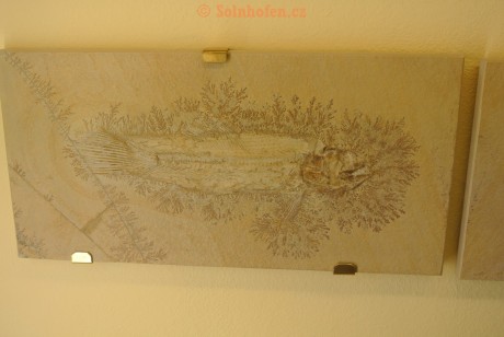 Museum-Berger-2013-0072