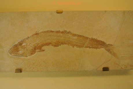 Museum-Berger-2013-0073