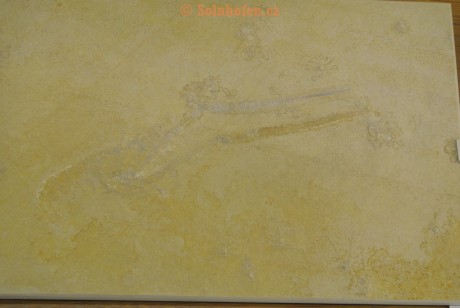 Museum-Berger-2013-0075