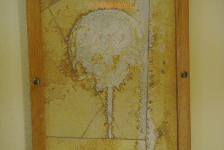 Museum-Berger-2013-0077