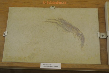 Museum-Berger-2013-0078
