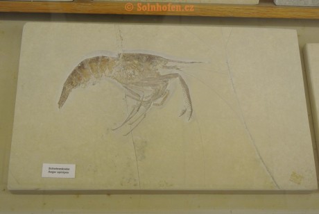 Museum-Berger-2013-0079