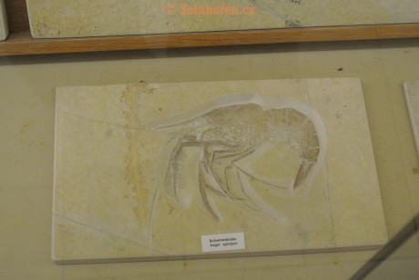 Museum-Berger-2013-0081