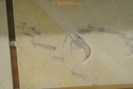Museum-Berger-2013-0082
