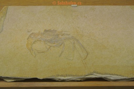 Museum-Berger-2013-0083