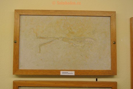 Museum-Berger-2013-0085