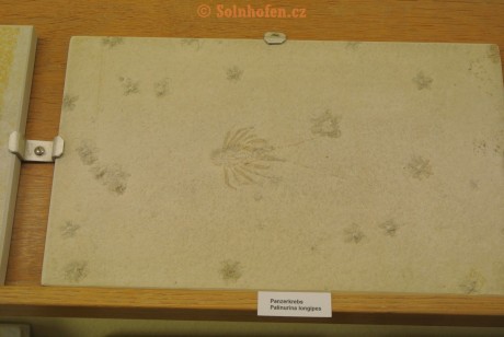 Museum-Berger-2013-0087