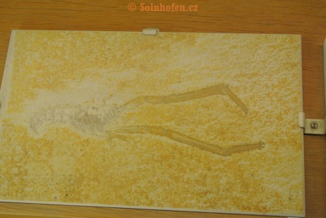 Museum-Berger-2013-0088