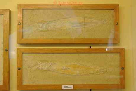 Museum-Berger-2013-0092