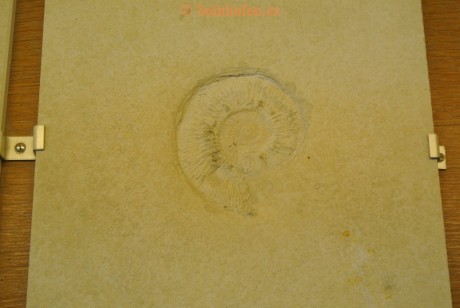 Museum-Berger-2013-0094
