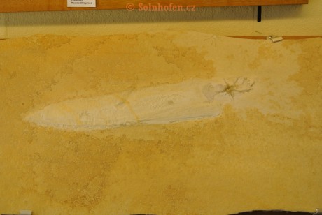 Museum-Berger-2013-0096