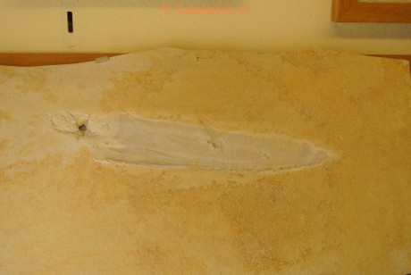 Museum-Berger-2013-0097