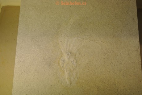 Museum-Berger-2013-0099