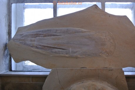 Museum-Berger-2013-0100