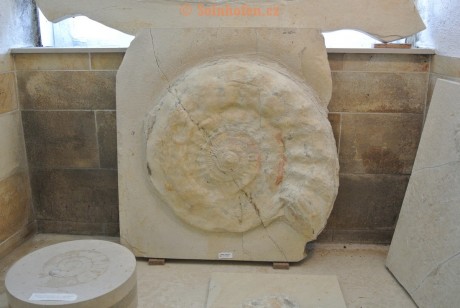 Museum-Berger-2013-0101