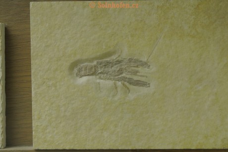 Museum-Berger-2013-0103