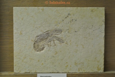 Museum-Berger-2013-0104