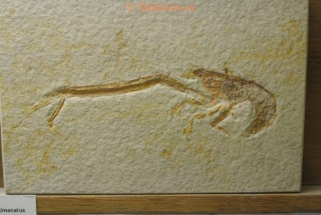 Museum-Berger-2013-0106