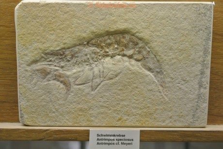 Museum-Berger-2013-0107