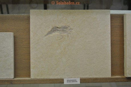 Museum-Berger-2013-0108