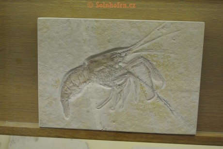 Museum-Berger-2013-0109
